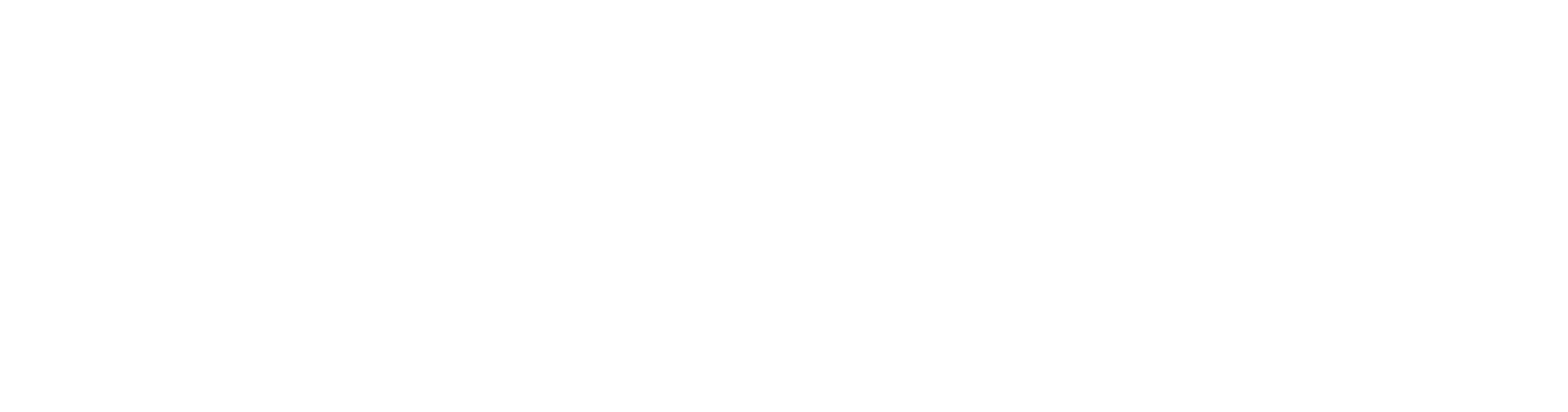 top main logo